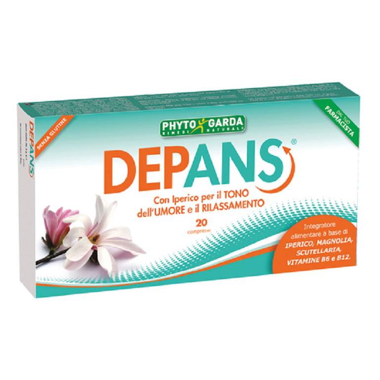 DEPANS 20CPR